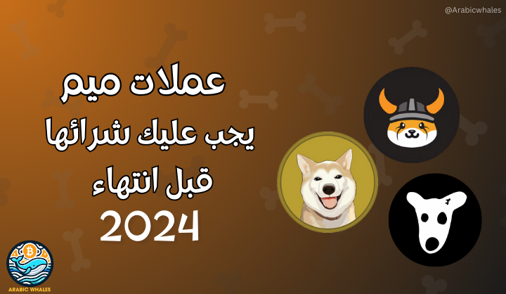 أفضل 5 عملات ميم 2024