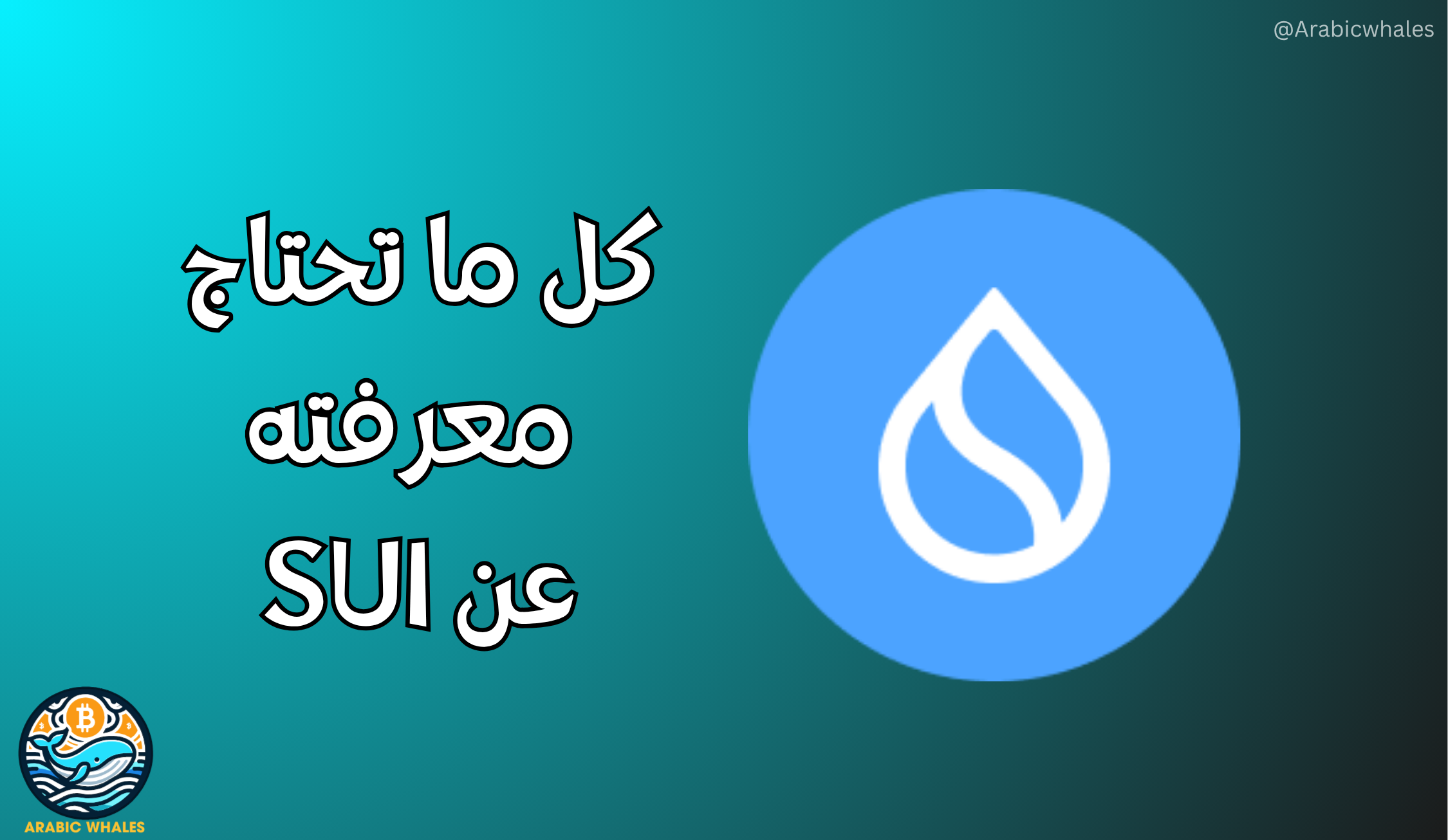 كل ما تحتاج معرفته عن SUI